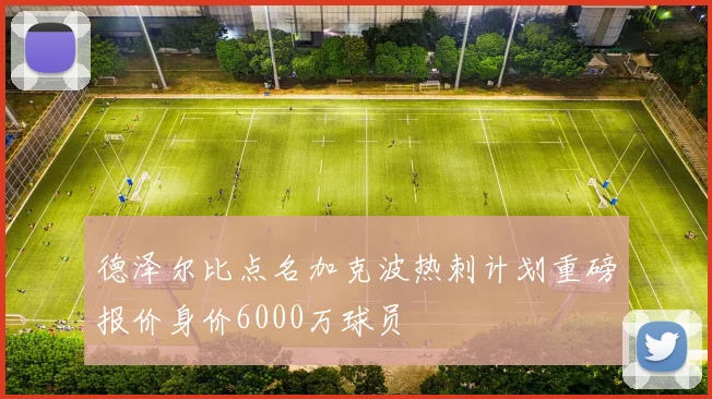 德泽尔比点名加克波热刺计划重磅报价身价6000万球员